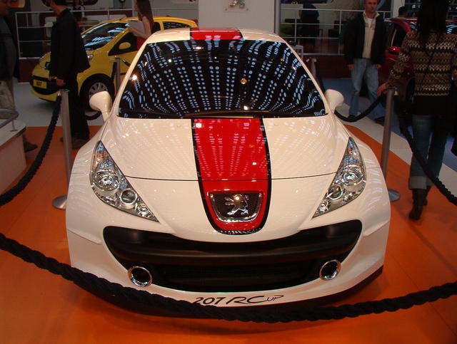 Peugeot 207 R Cup 